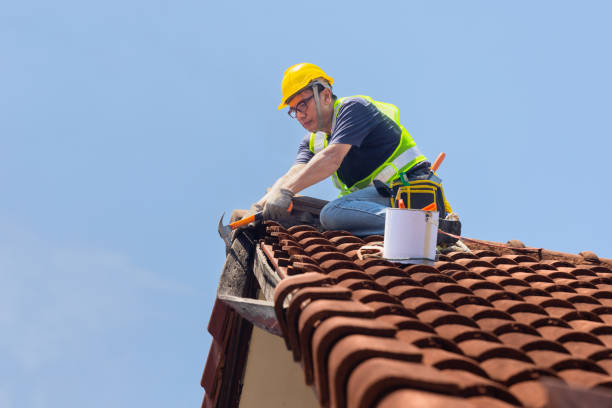 Fast & Reliable Emergency Roof Repairs in Sarasota Springs, FL